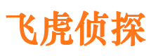 淮阴侦探公司